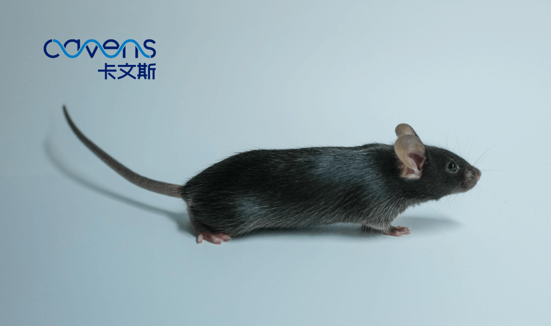 1708492329193752.png 640 (6).png