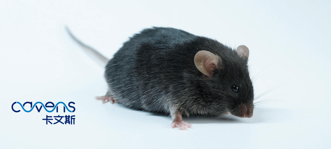 1708492496156647.png 11.png