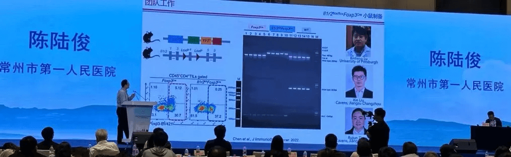 1715214730125636.jpg 1715160857376.jpg