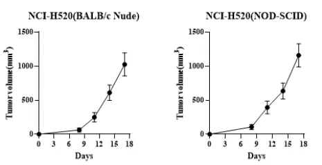 1763711081210690.jpg 1.jpg